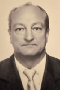 Vidas Karolis